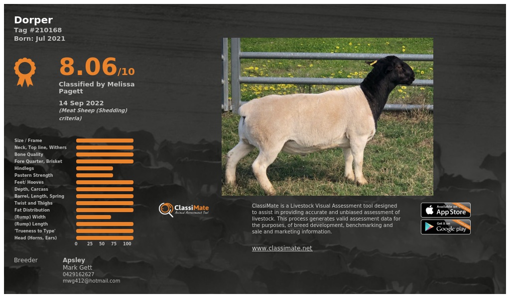 Lot 84