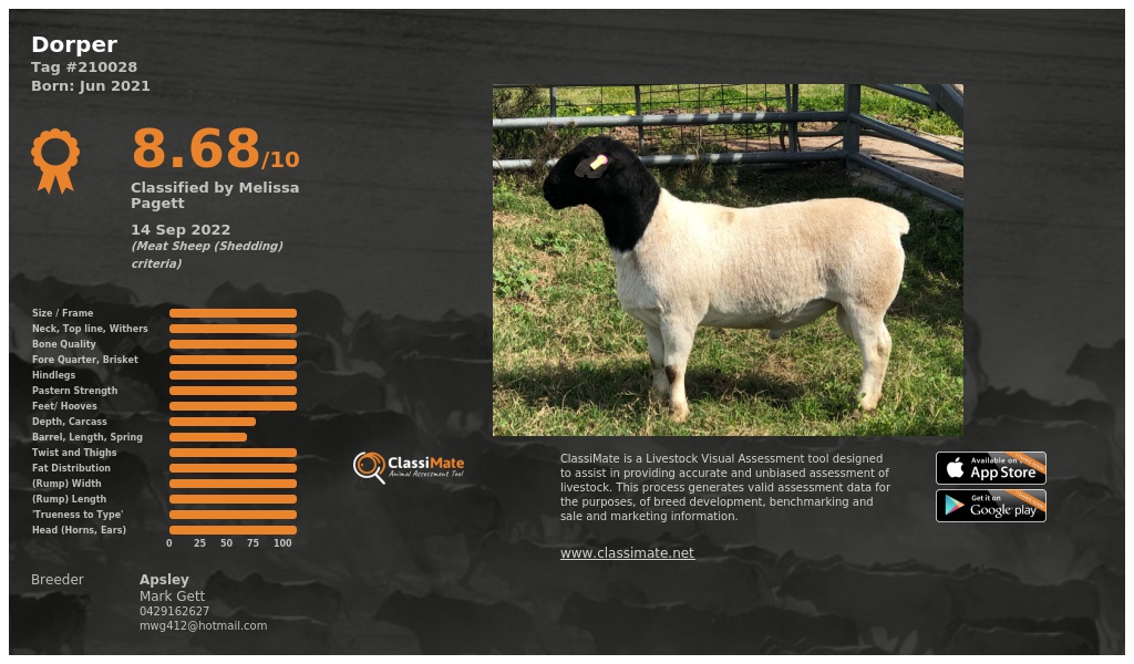 Lot 85