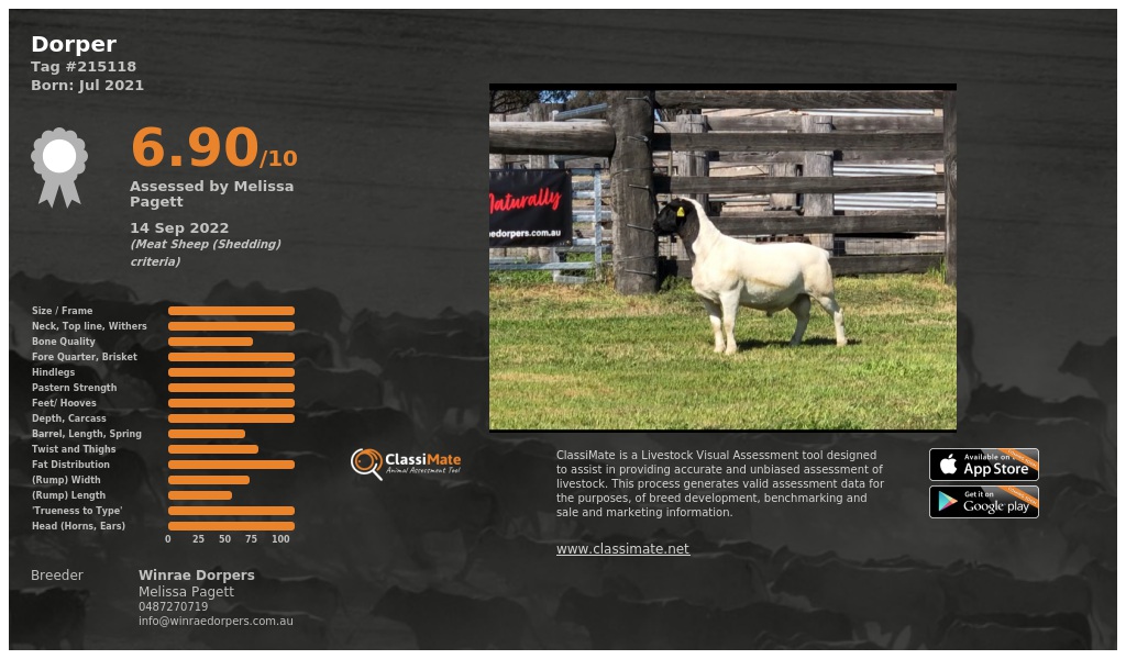 Lot 87-1