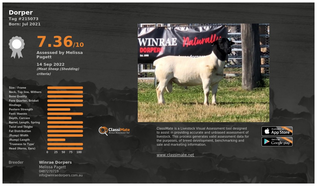 Lot 88-1