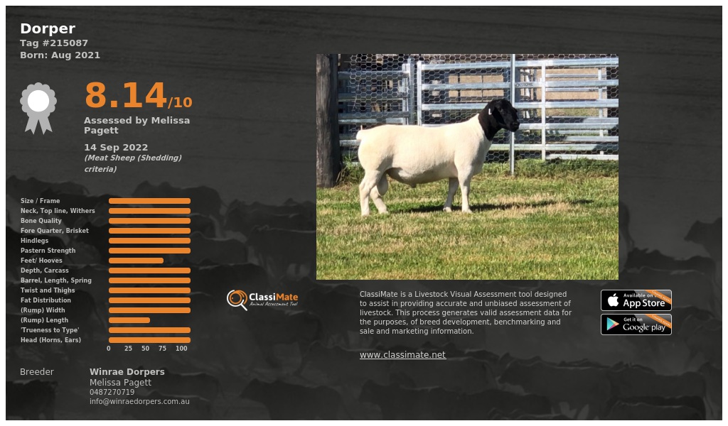 Lot 89-1