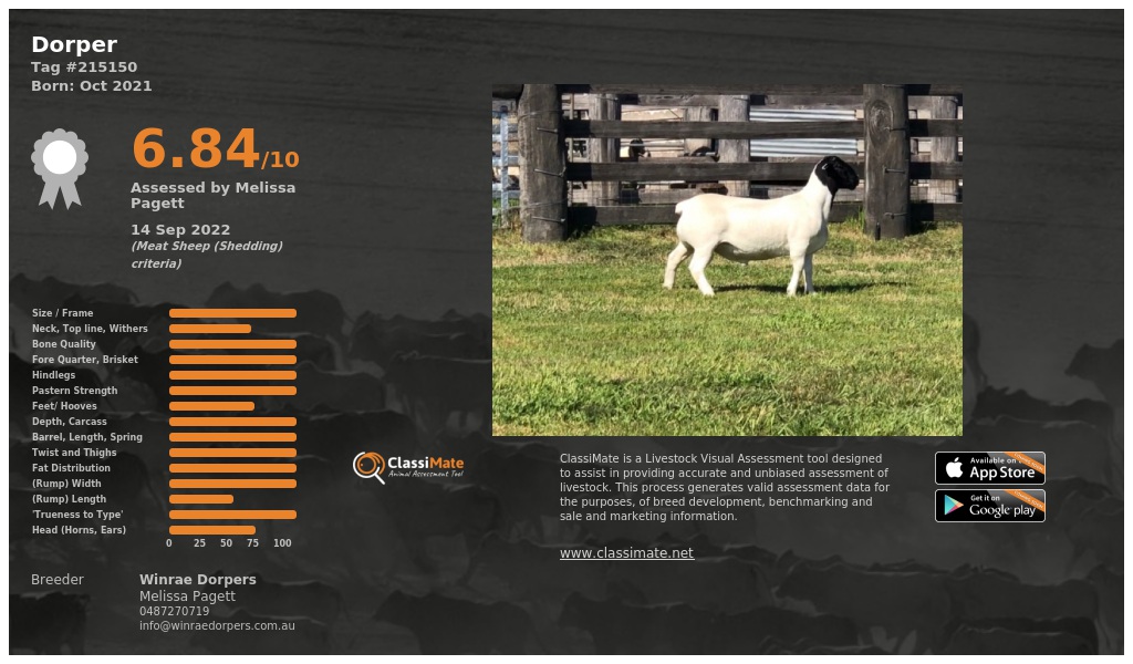 Lot 91-1