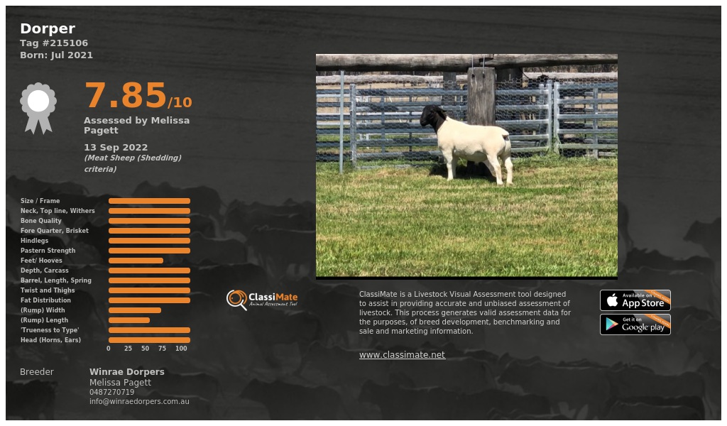 Lot 92-1
