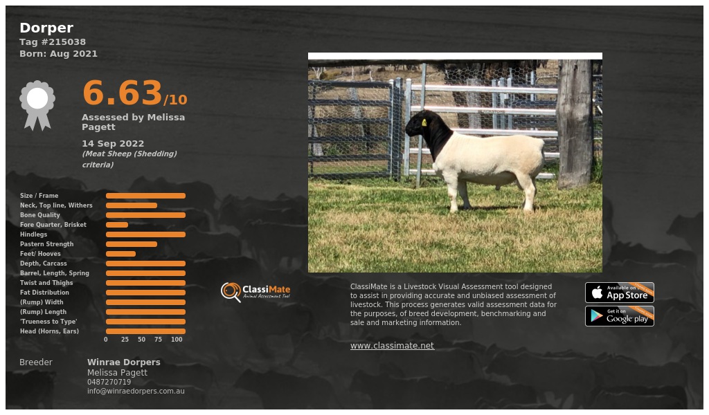 Lot 93-1