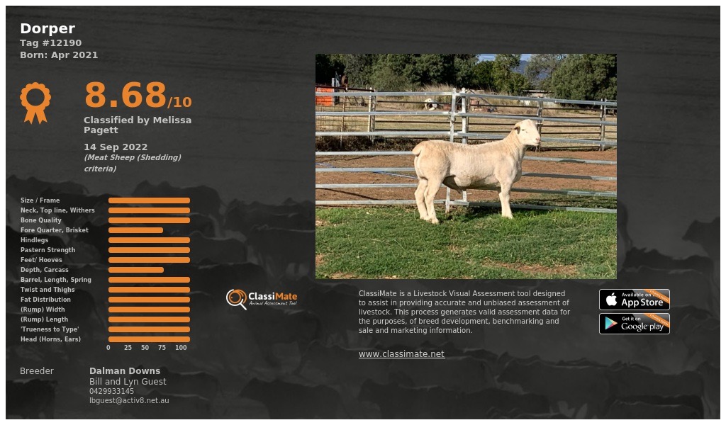 Lot 94