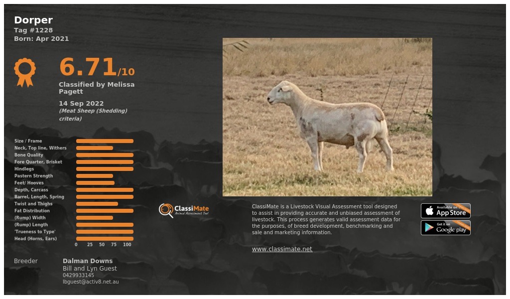 Lot 97