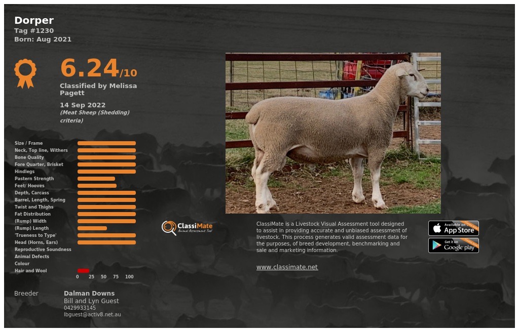 Lot 98