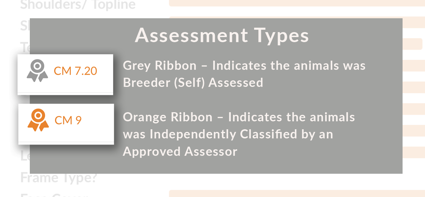 Ribbons-explained